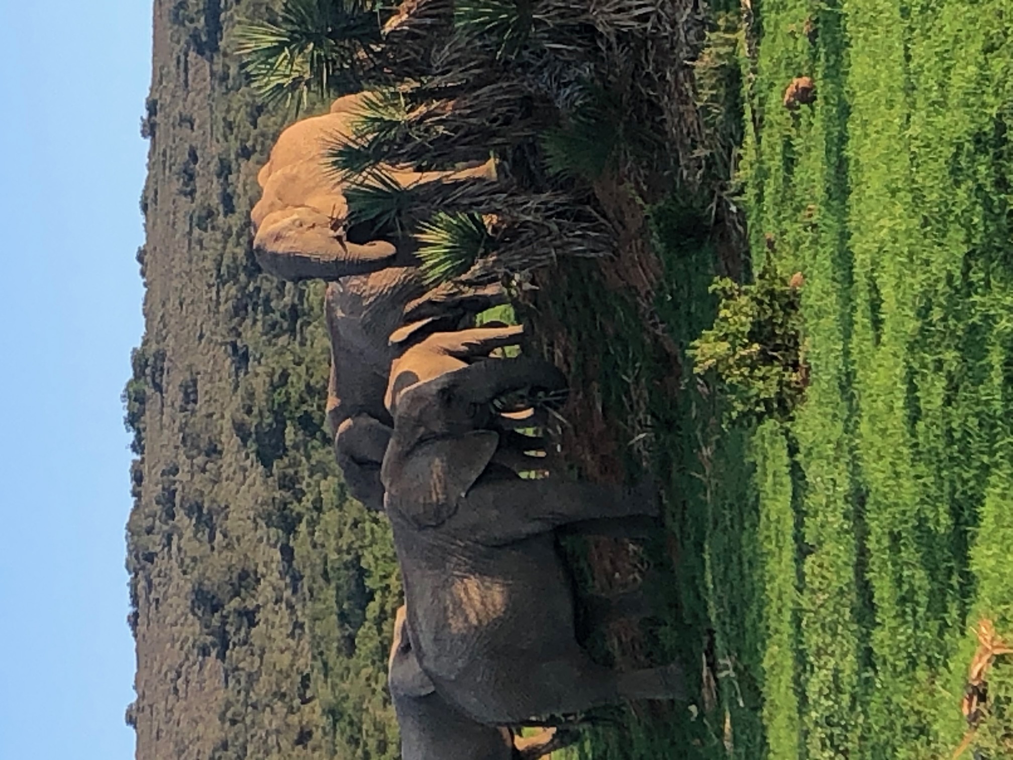 South Africa travel photograph supplied by Carly Singer