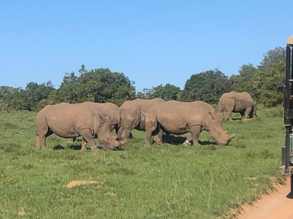 South Africa travel photograph supplied by Carly Singer