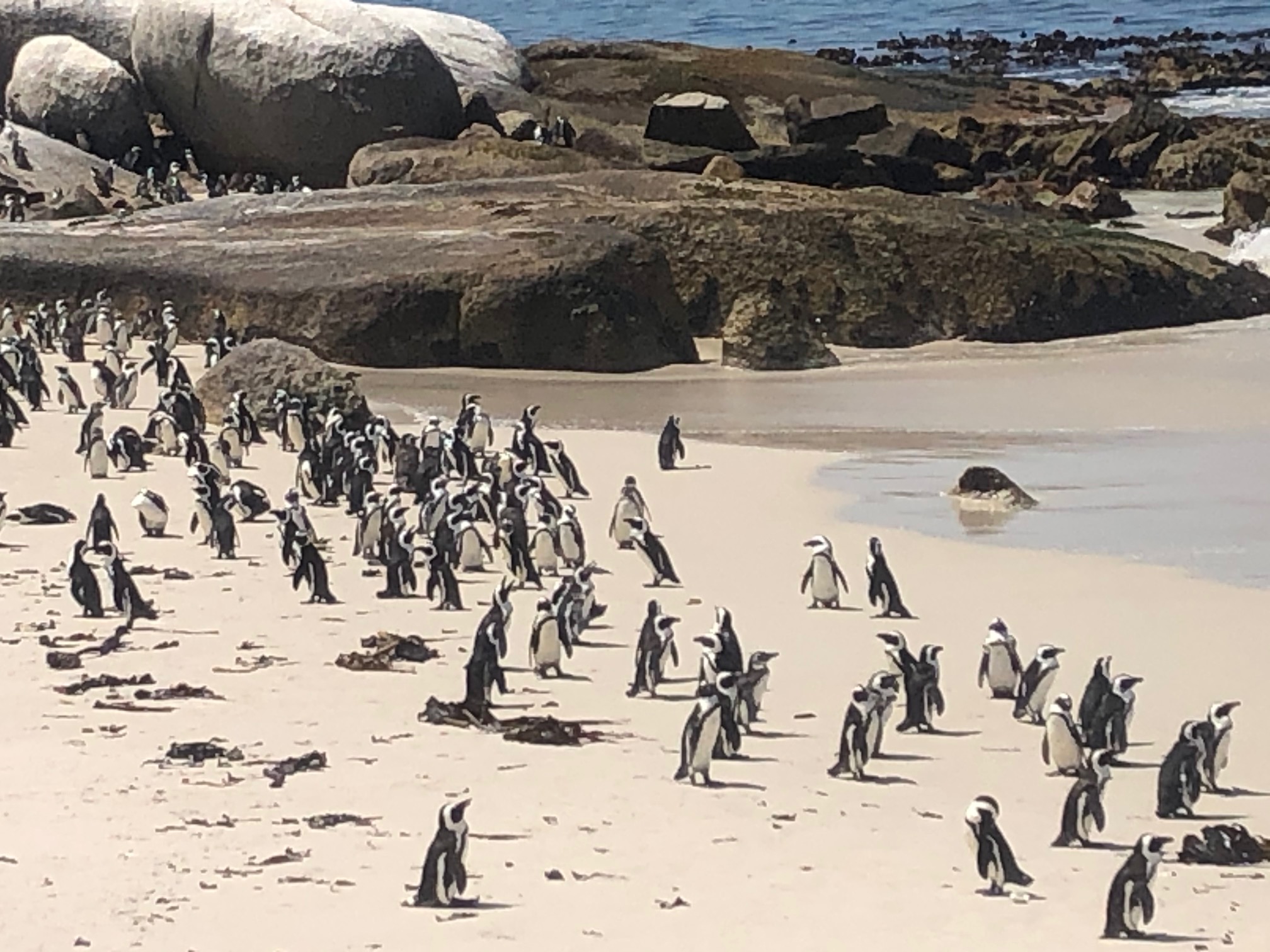 Garden Route travel photograph supplied by Carly Singer