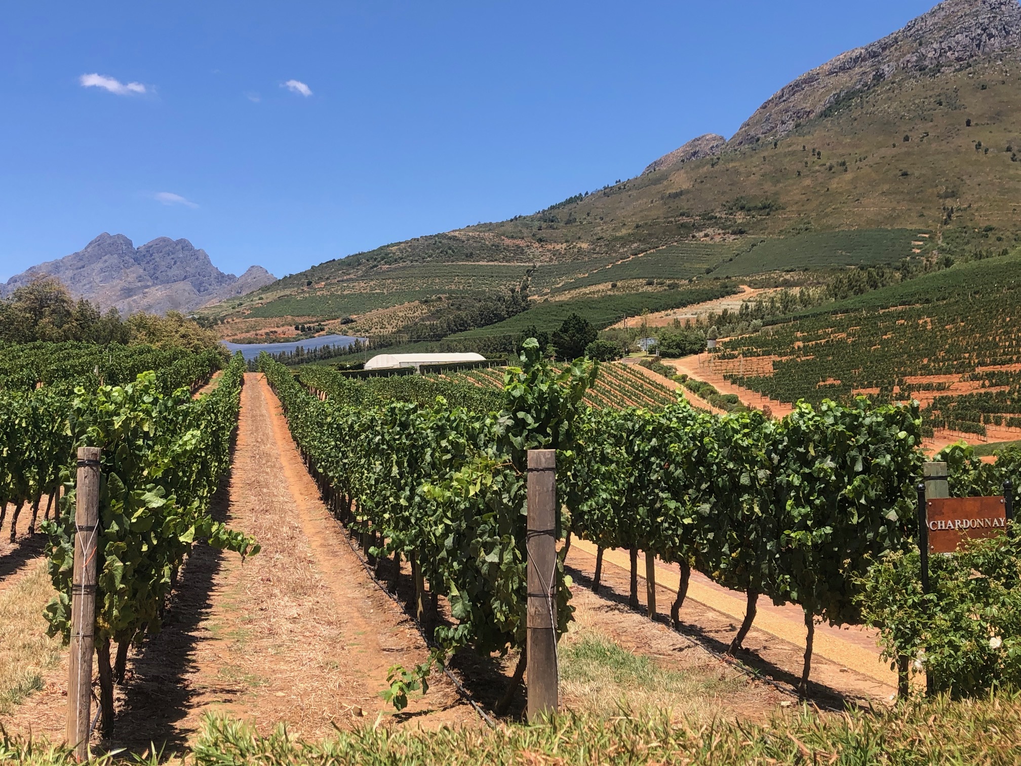 South Africa travel photograph supplied by Carly Singer