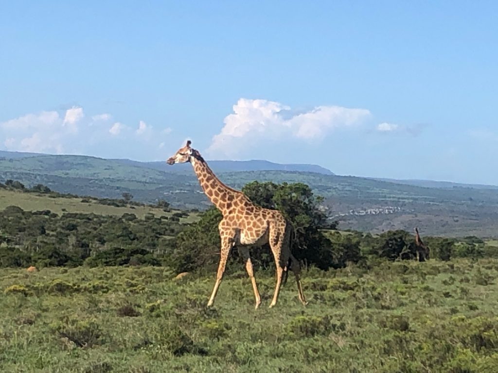 South Africa travel photograph supplied by Carly Singer
