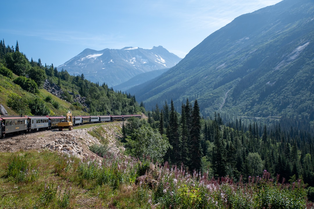 Train travelling through the green hills of Alaska