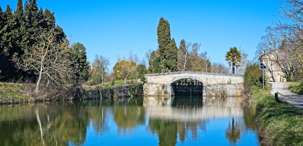 A tree-lined section of the Canal du Midi in France
