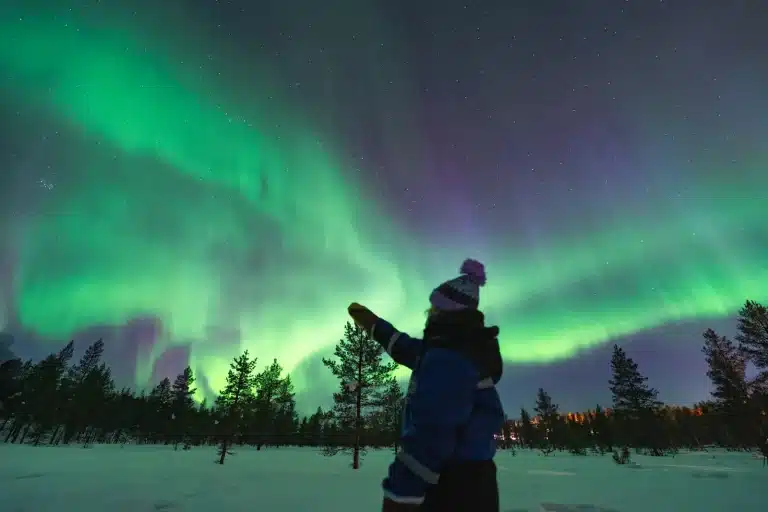 A visitor watches green Northern Lights above a snowy forest